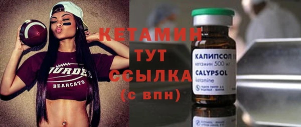 стаф Корсаков
