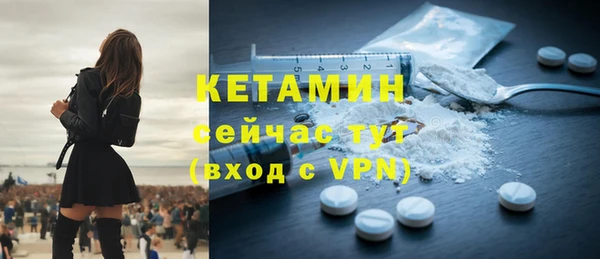 стаф Корсаков