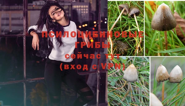 прущая мука Володарск
