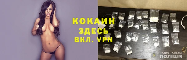 стаф Корсаков