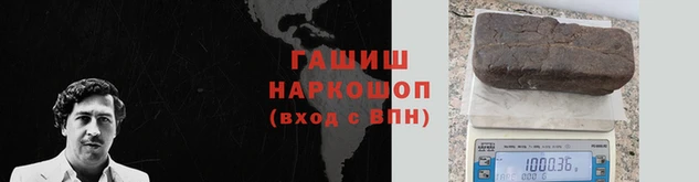 стаф Корсаков