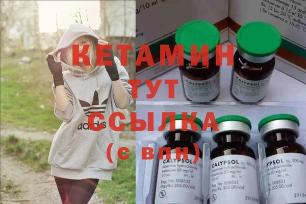 стаф Корсаков