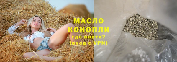 стаф Корсаков