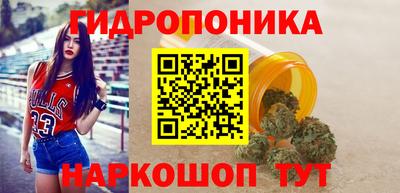 apvp Аргун