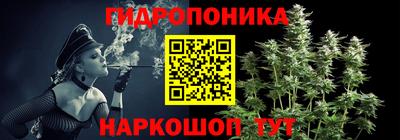 apvp Аргун