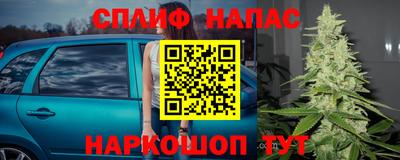 apvp Аргун
