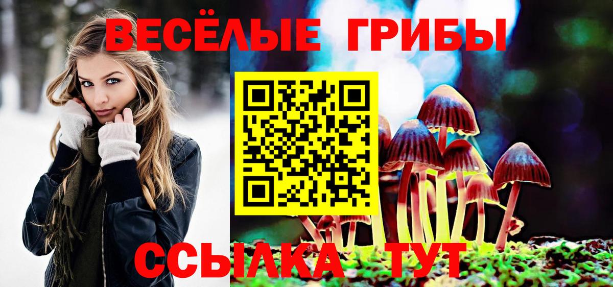 Псилоцибиновые грибы мицелий Архангельск