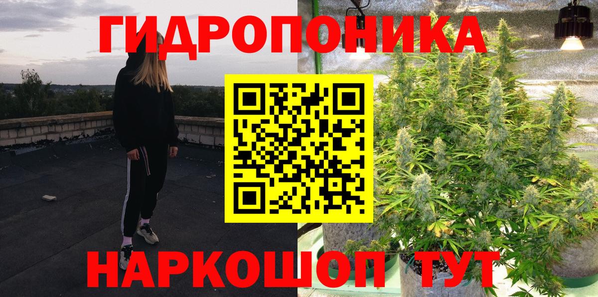 Бошки марихуана OG Kush  МАРИХУАНА Bruce Banner  Архангельск  Вход с VPN  Бошки Шишки гибрид 